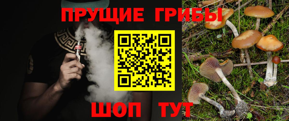 закладки  Вход с VPN  Десногорск  Псилоцибиновые грибы MAGIC MUSHROOMS 