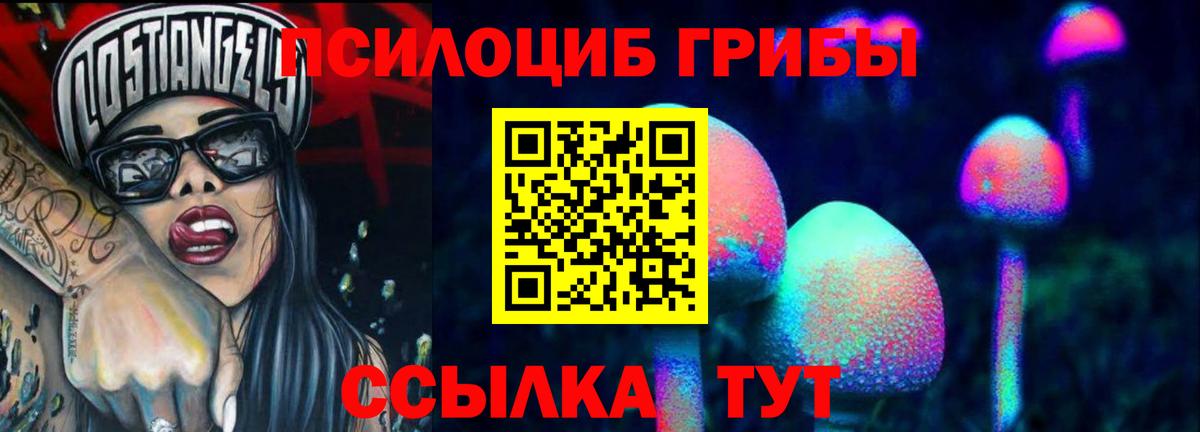 Галлюциногенные грибы Psilocybine cubensis Десногорск